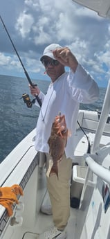 Fishing in Sarasota, Florida