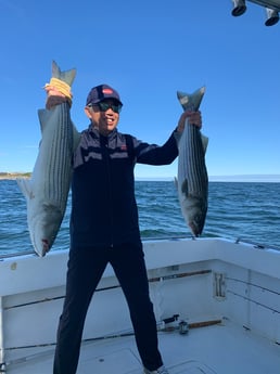 Striped Bass fishing in Montauk, New York