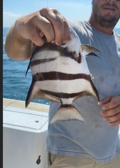 Fishing in Carolina Beach, North Carolina