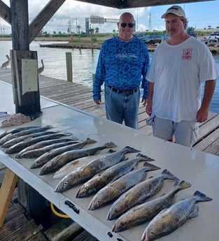 Speckled Trout / Spotted Seatrout fishing in Tiki Island, Texas