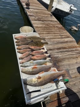 Fishing in Bradenton, Florida