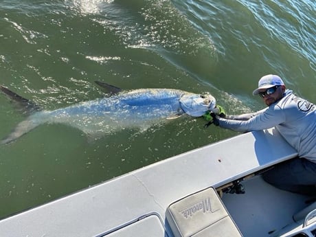 Tarpon Fishing in Miami, Florida