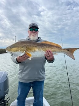 Redfish Fishing in Boothville-Venice, Louisiana