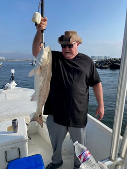 Redfish Fishing in Orange Beach, Alabama