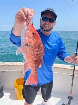 Red Snapper Fishing in Freeport, Texas