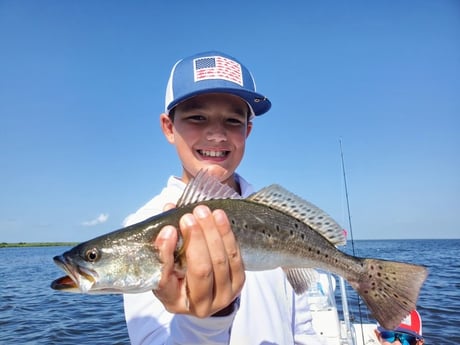 Speckled Trout / Spotted Seatrout fishing in Saint Bernard, Louisiana