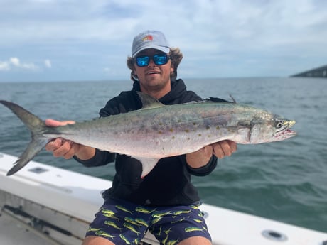 Striped Bass fishing in Virginia Beach, Virginia