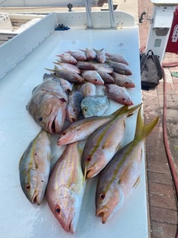 Fishing in Key West, Florida