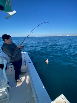 Red Snapper fishing in Destin, Florida