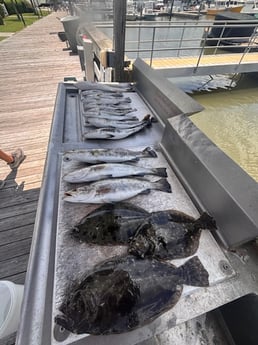 Fishing in Savannah, Georgia
