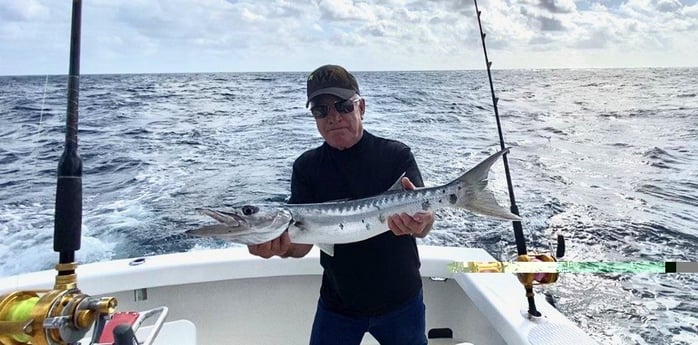 Barracuda Fishing in Pompano Beach, Florida