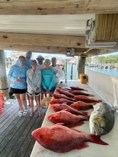 Fishing in Orange Beach, Alabama