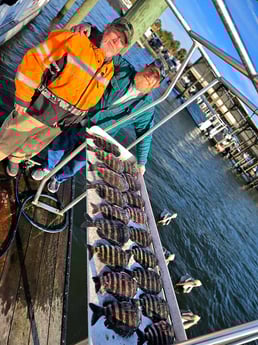 Fishing in Crystal River, Florida