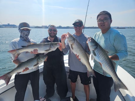 Fishing in Howard, New York