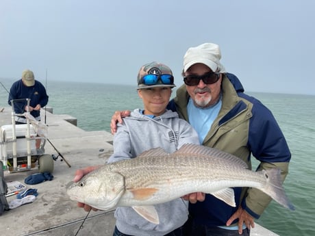 Fishing in Sarasota, Florida