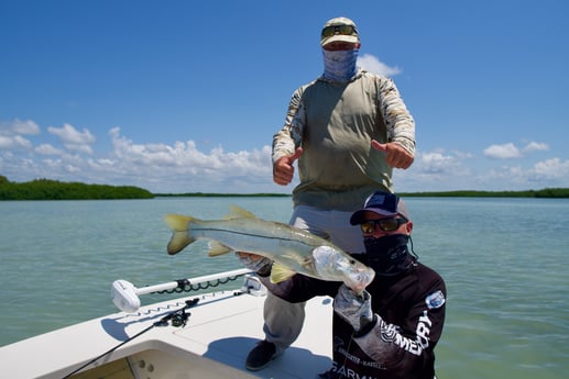 Snook Fishing in Islamorada, Florida