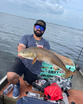 Redfish fishing in Holmes Beach, Florida, USA