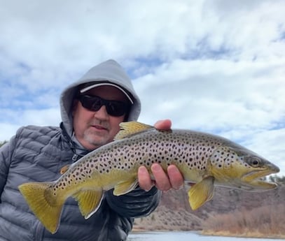 Brown Trout fishing in Deer Lodge, Montana