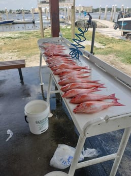 Fishing in Jacksonville, Florida