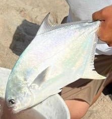 Florida Pompano Fishing in Melbourne Beach, Florida