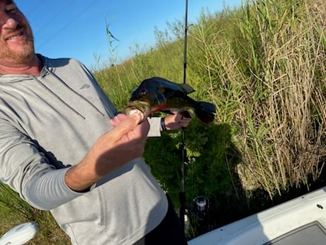 Fishing in Pembroke Pines, Florida