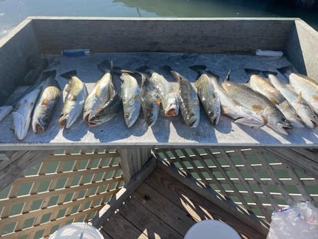 Fishing in Corpus Christi, Texas