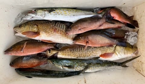 Fishing in Tampa, Florida