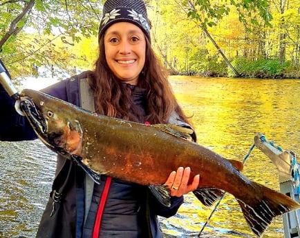 Sockeye Salmon Fishing in Verona Beach, New York