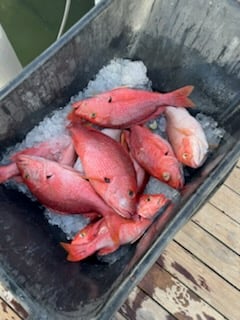 Fishing in Islamorada, Florida