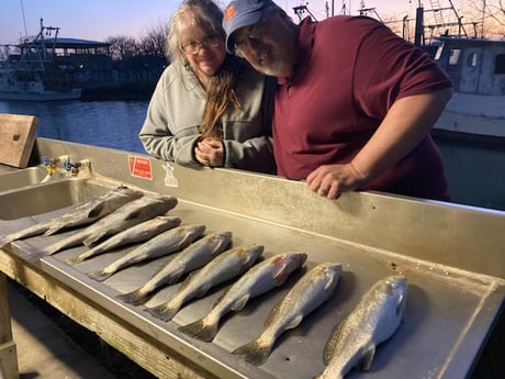 Redfish, Speckled Trout / Spotted Seatrout fishing in Texas City, Texas