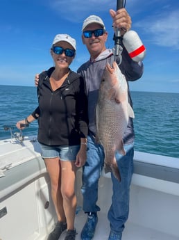 Mangrove Snapper Fishing in Naples, Florida