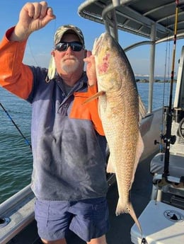 Redfish Fishing in Jacksonville, Florida