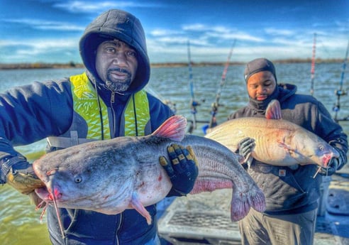 Blue Catfish Fishing in Dallas, Texas