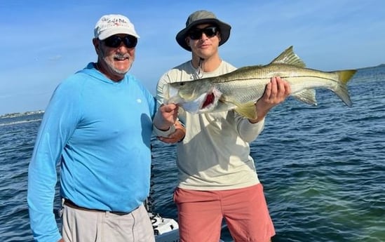 Snook Fishing in Holmes Beach, Florida