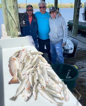 Redfish, Speckled Trout / Spotted Seatrout fishing in Delacroix, Louisiana