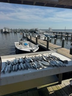 Fishing in Gulf Shores, Alabama