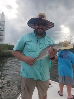 Redfish Fishing in New Smyrna Beach, Florida
