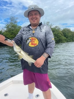 Snook Fishing in Sarasota, Florida