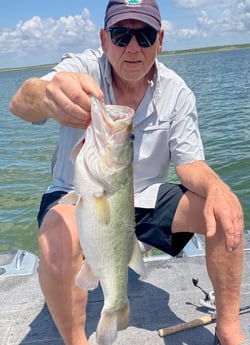 Largemouth Bass fishing in Zapata, Texas