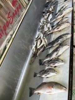 Fishing in Biloxi, Mississippi