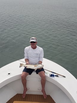 Redfish Fishing in Hatteras, North Carolina