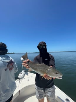Fishing in Ruskin, Florida