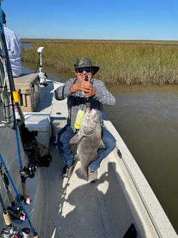 Black Drum Fishing in Freeport, Texas