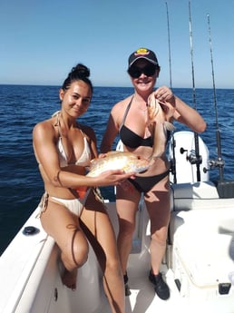 Fishing in Sarasota, Florida