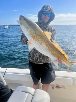 Redfish Fishing in Pensacola, Florida