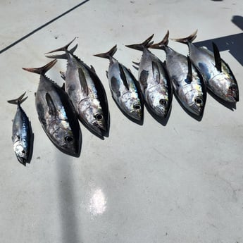 Fishing in Pompano Beach, Florida