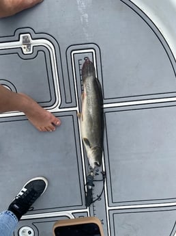 Fishing in Pembroke Pines, Florida