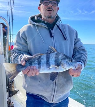 Black Drum Fishing in Beaufort, North Carolina