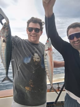 Fishing in Dana Point, California