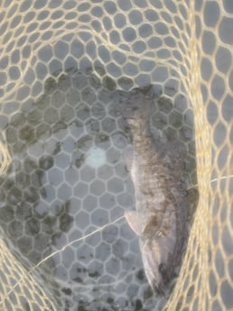 Fishing in Broken Bow, Oklahoma